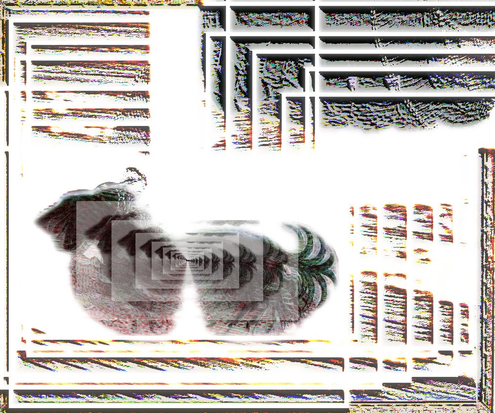 dynamism of a dog on a leash