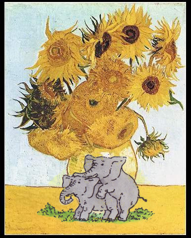 sunflowers