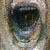 head VI.