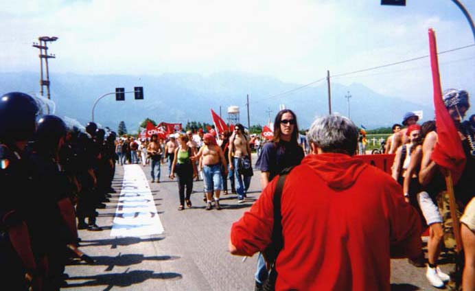 fila di pulli
