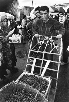venditore di castagne